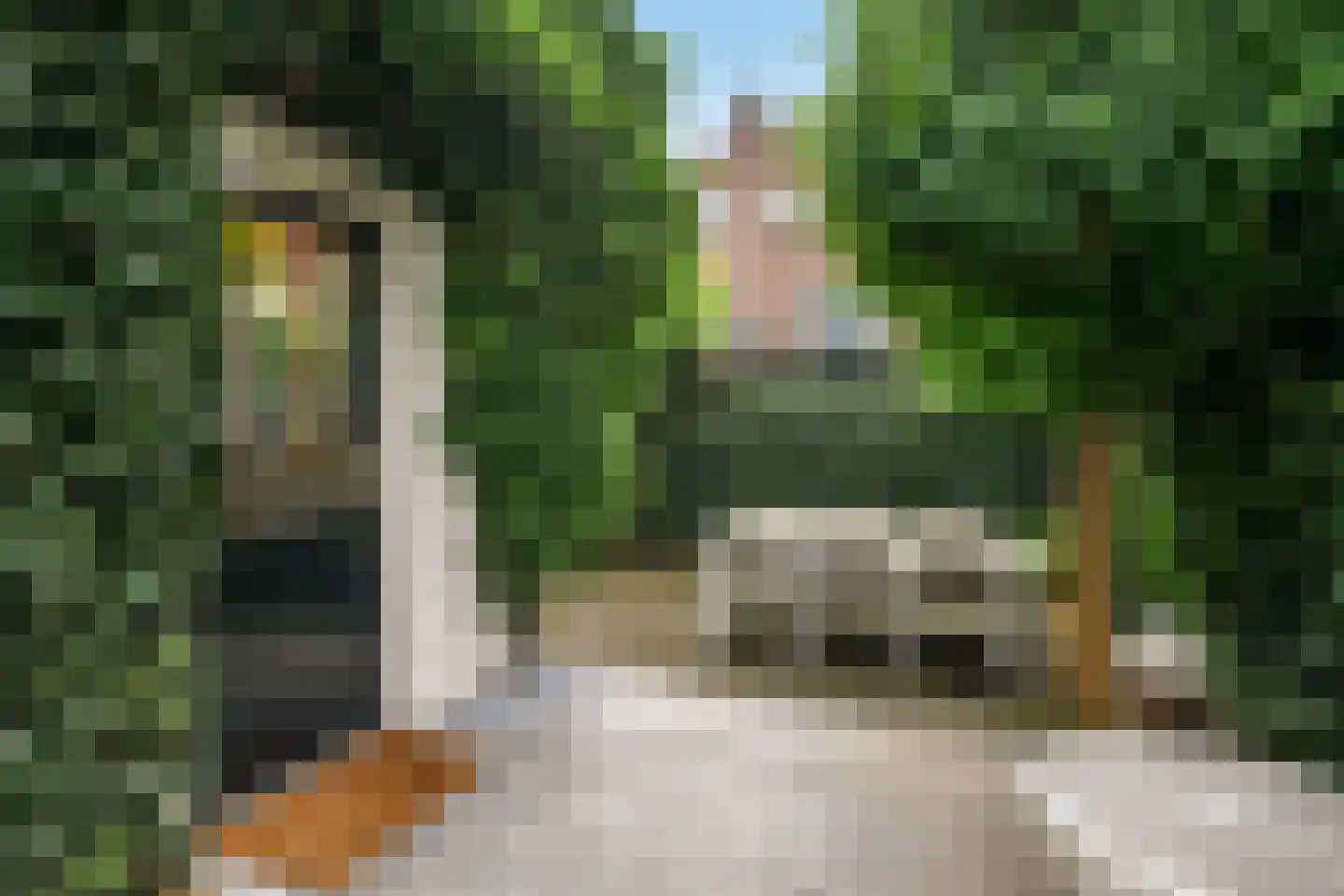 Hertogstraat 1 Velp thumbnail 40