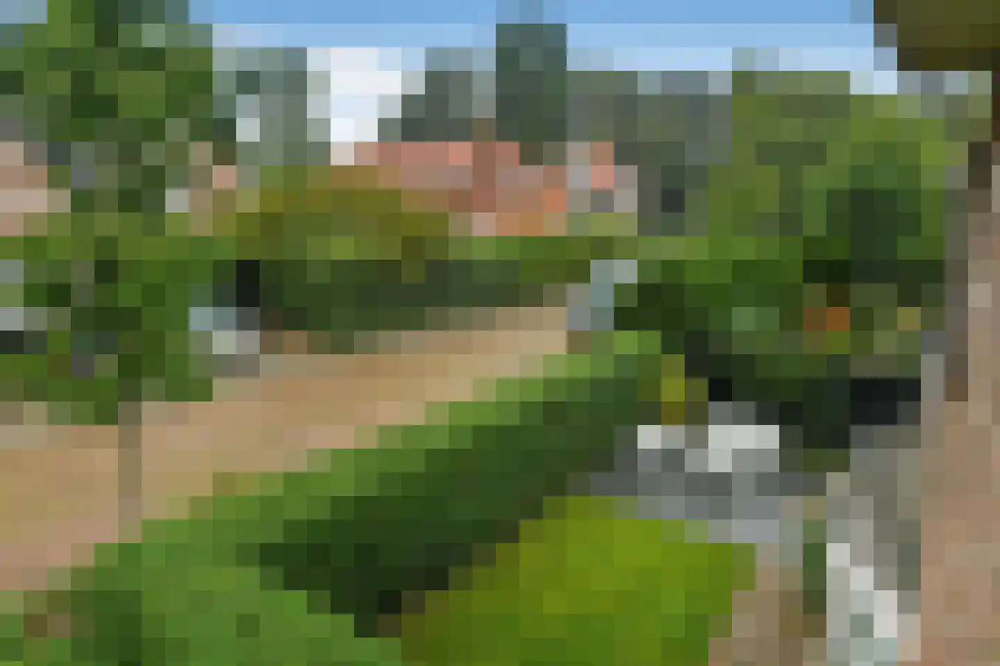 Hertogstraat 1 Velp thumbnail 41