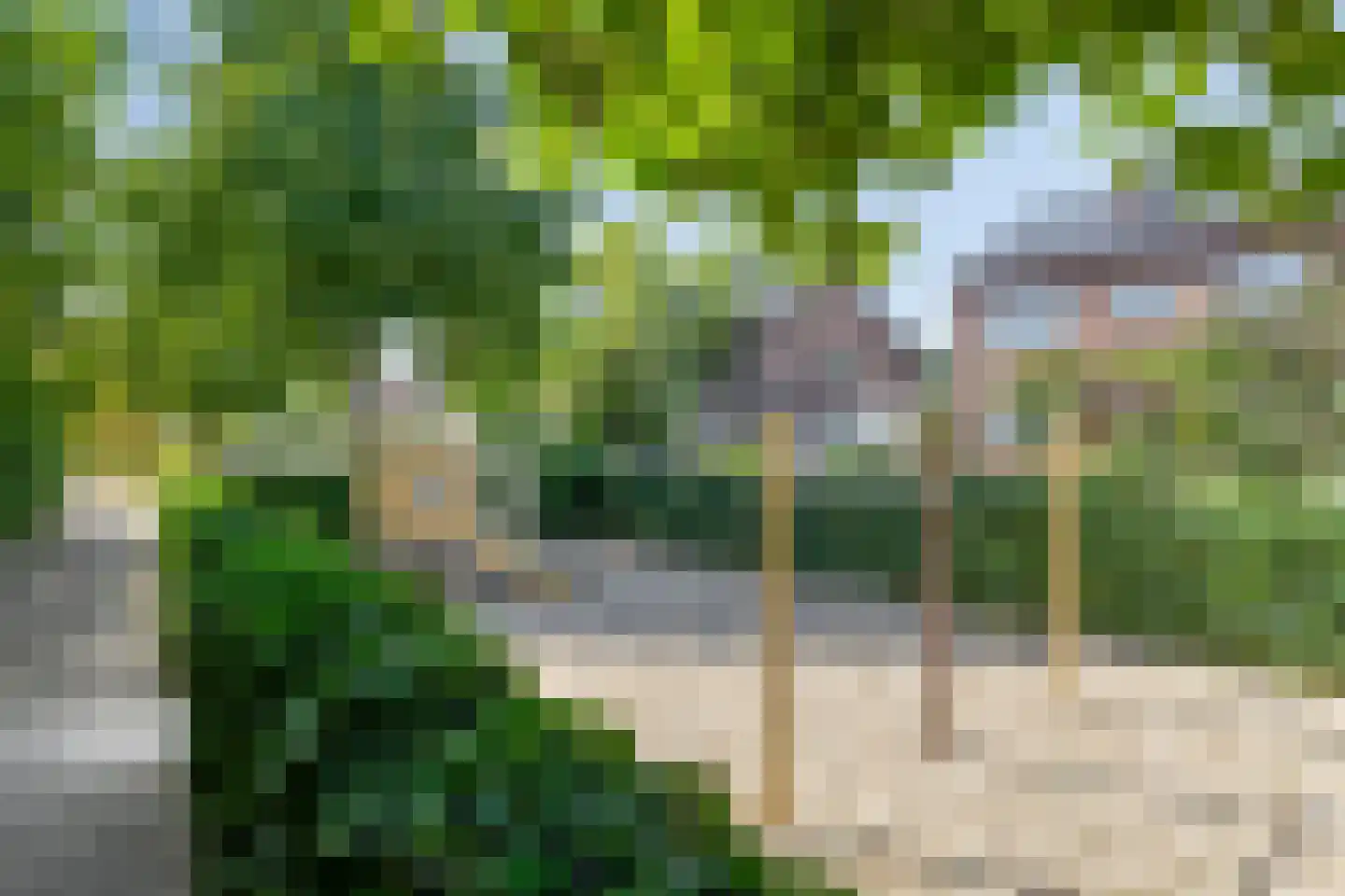 Hertogstraat 12 Molenhoek thumbnail 49