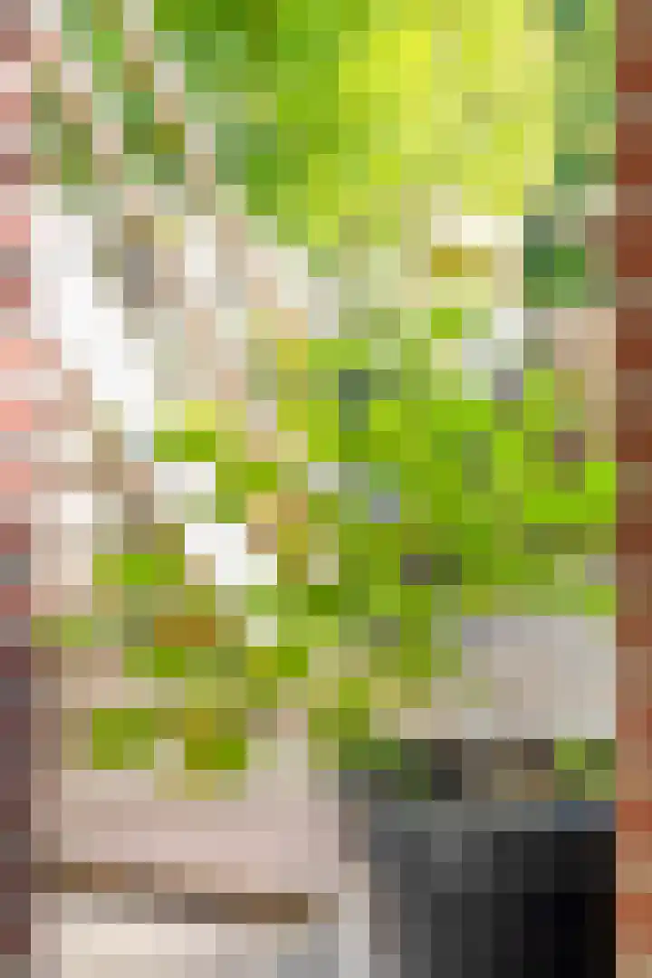 Hertogstraat 13 2 Arnhem thumbnail 38