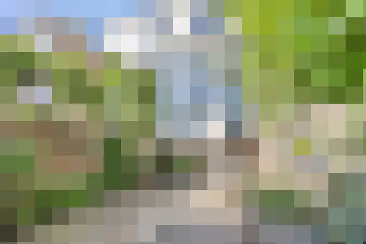 Hertogstraat 13 2 Arnhem thumbnail 5