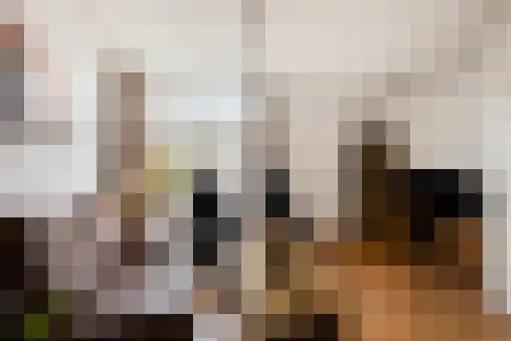 Hertogstraat 18 Tilburg thumbnail 5