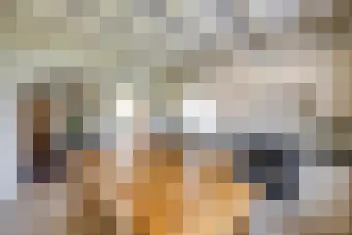 Hertogstraat 20 Sprundel thumbnail 16