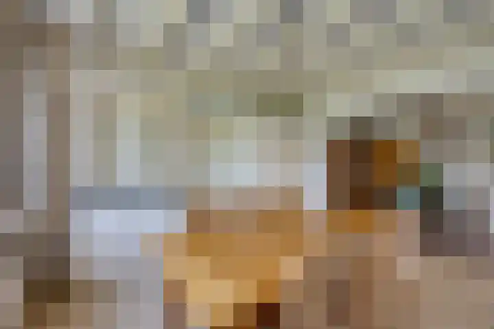 Hertogstraat 20 Sprundel thumbnail 17