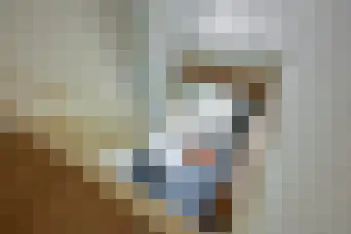 Hertogstraat 20 Sprundel thumbnail 28