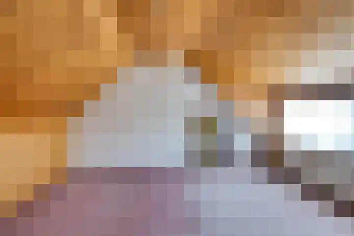 Hertogstraat 20 Sprundel thumbnail 30