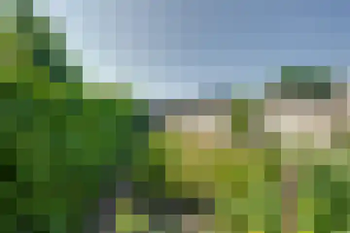 Hertogstraat 20 Sprundel thumbnail 40