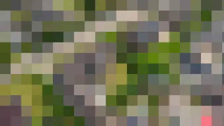 Hertogstraat 20 Sprundel thumbnail 6