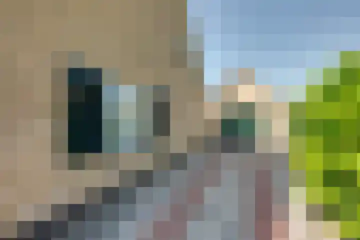 Hertogstraat 20 Sprundel thumbnail 7