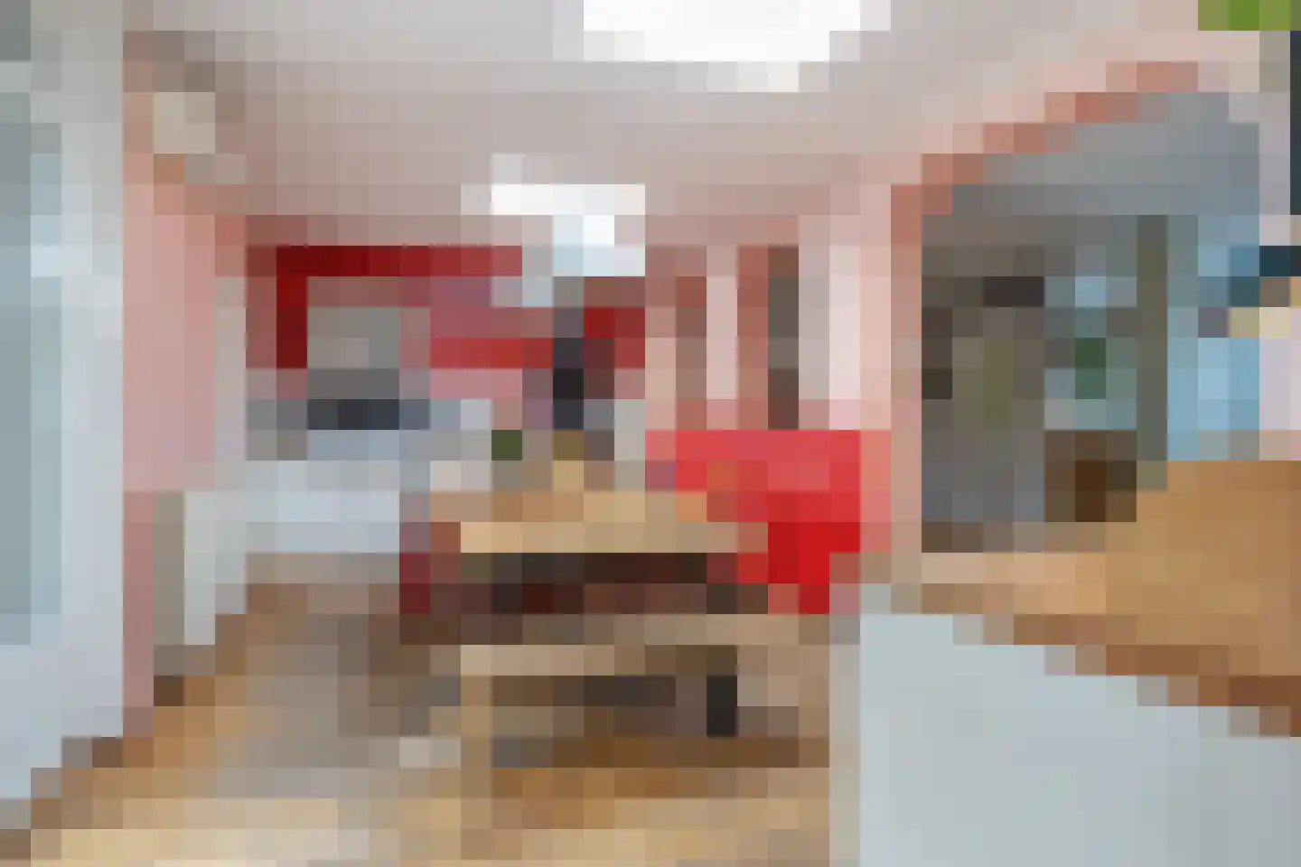 Hertogstraat 22 Zundert thumbnail 11