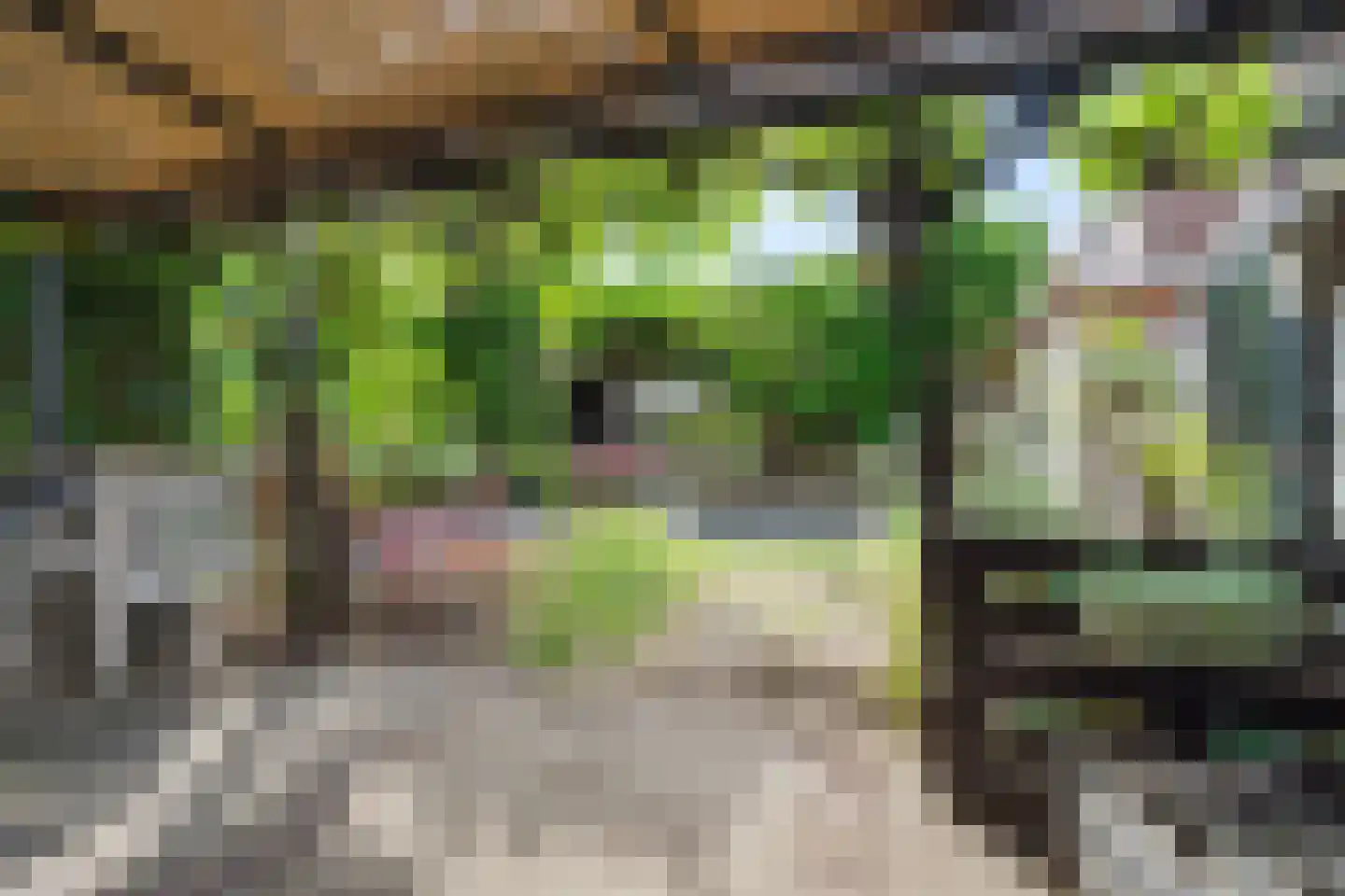 Hertogstraat 22 Zundert thumbnail 32