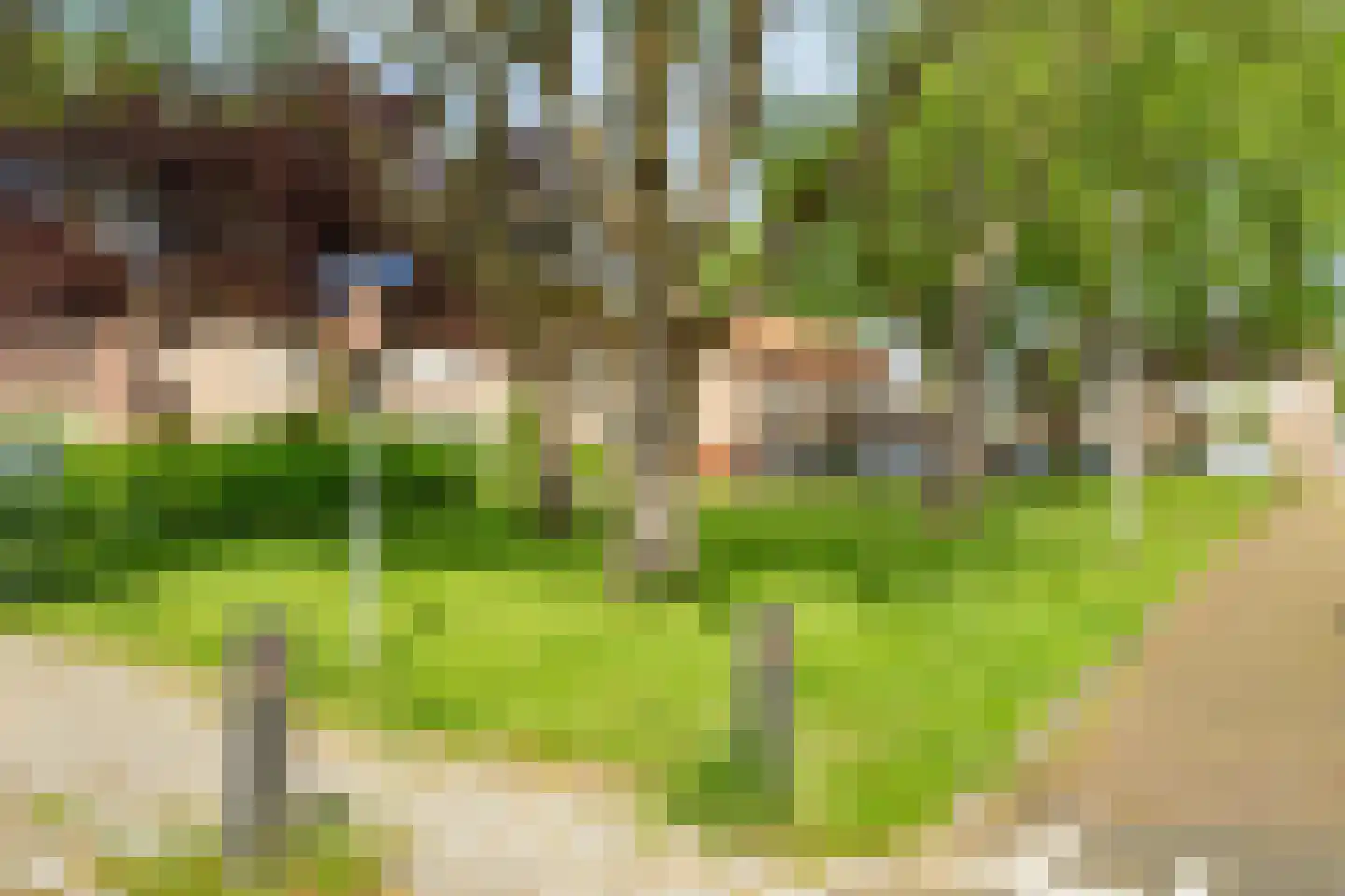 Hertogstraat 22 Zundert thumbnail 38