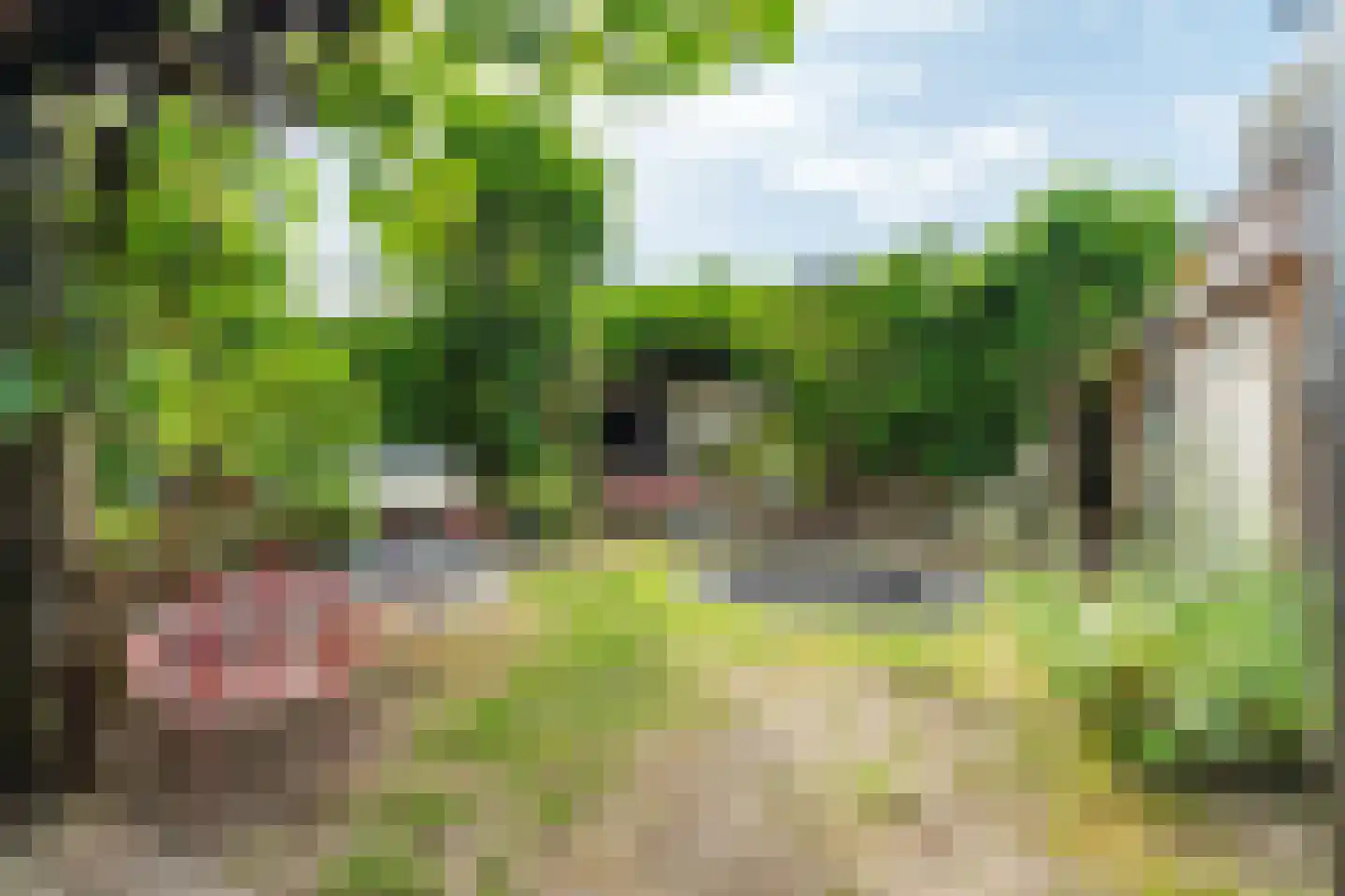 Hertogstraat 22 Zundert thumbnail 4
