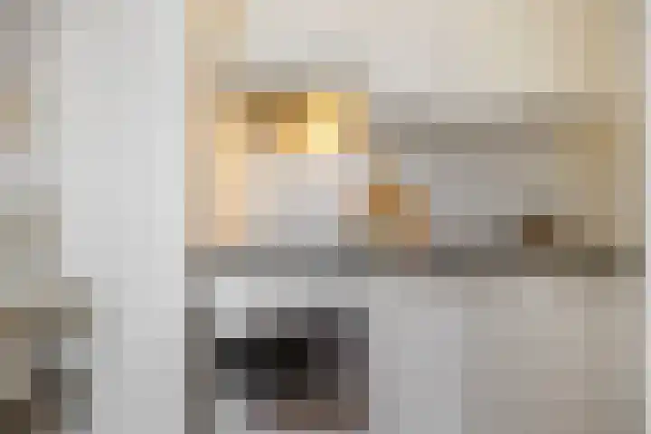 Hertogstraat 23 A Eindhoven thumbnail 10