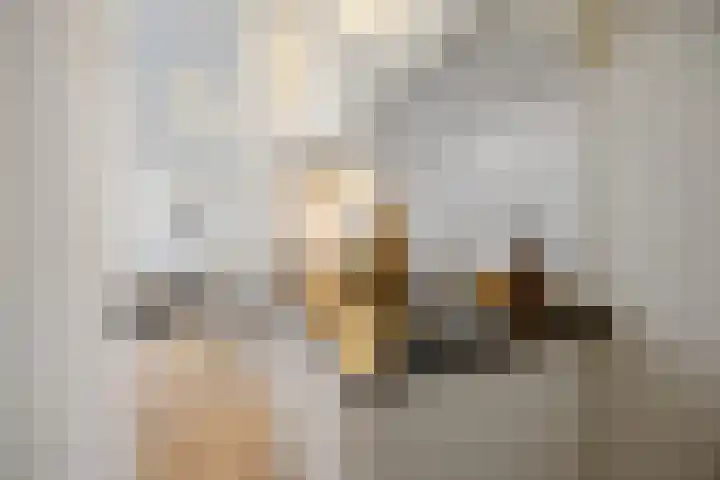 Hertogstraat 23 A Eindhoven thumbnail 11