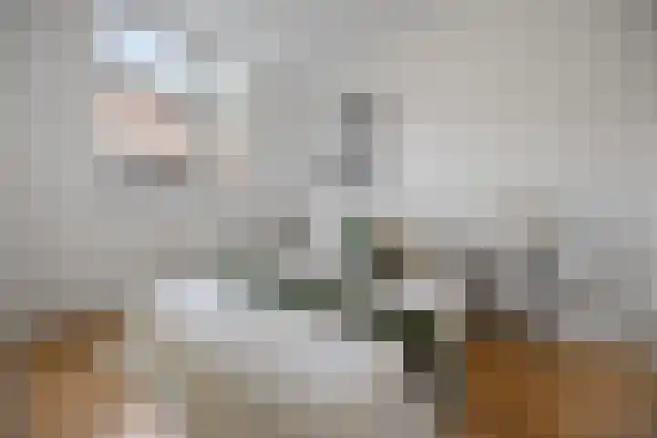 Hertogstraat 23 A Eindhoven thumbnail 12
