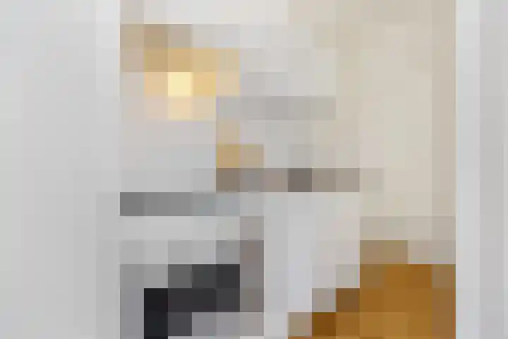 Hertogstraat 23 A Eindhoven thumbnail 9