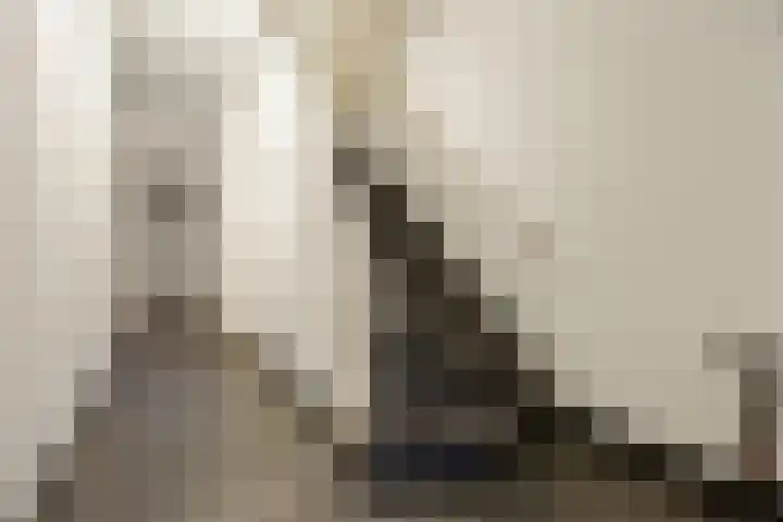 Hertogstraat 23 C Eindhoven thumbnail 6