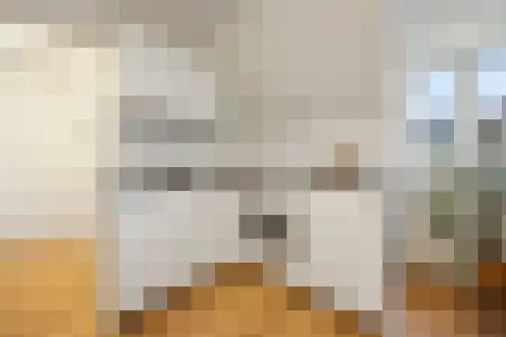 Hertogstraat 23 D Eindhoven thumbnail 13