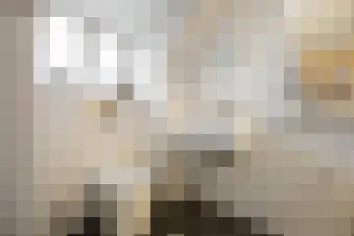 Hertogstraat 23 D Eindhoven thumbnail 16