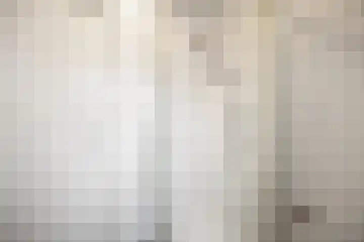 Hertogstraat 23 D Eindhoven thumbnail 17