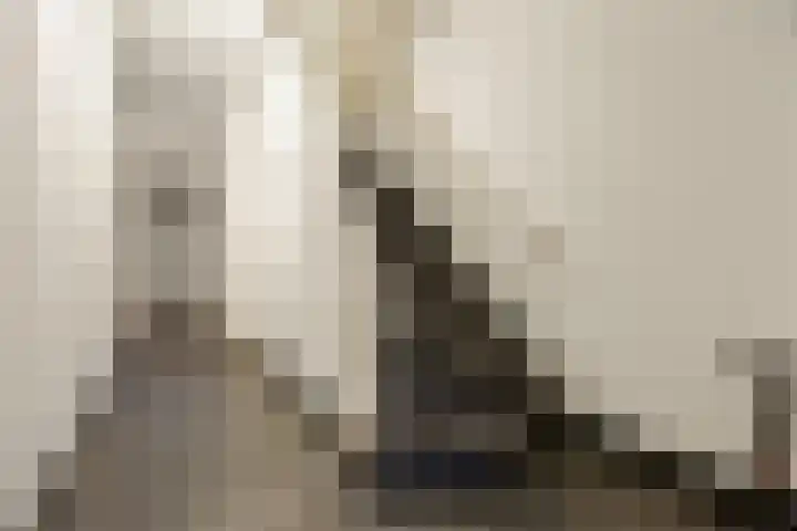 Hertogstraat 23 D Eindhoven thumbnail 4