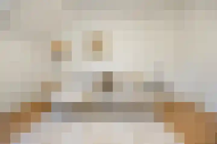 Hertogstraat 23 D Eindhoven thumbnail 7