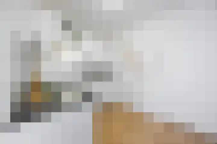 Hertogstraat 23 Eindhoven thumbnail 12