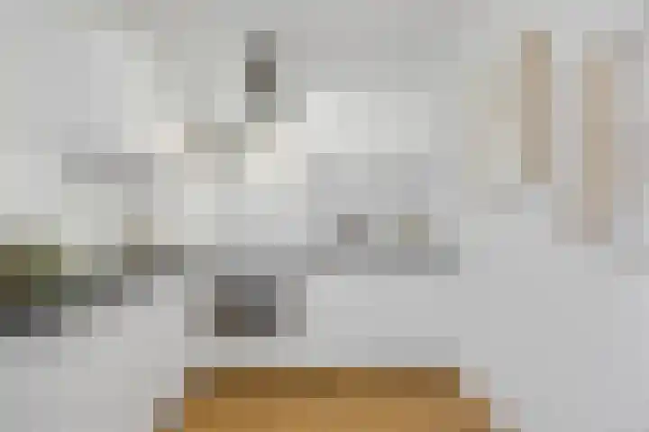 Hertogstraat 23 Eindhoven thumbnail 13