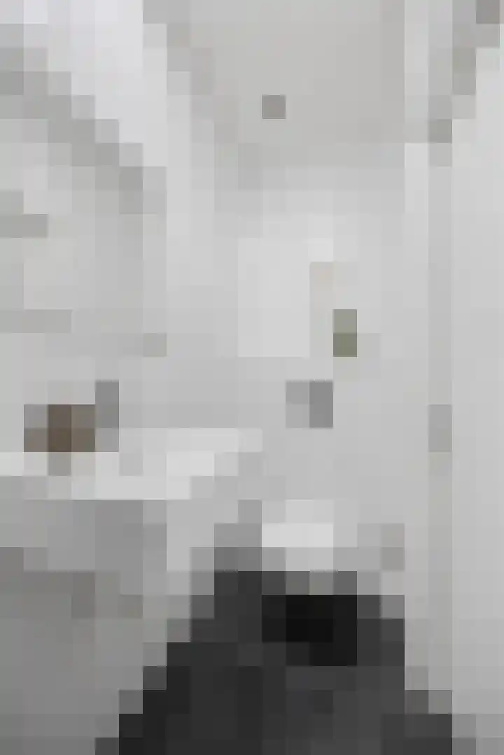 Hertogstraat 23 Eindhoven thumbnail 15