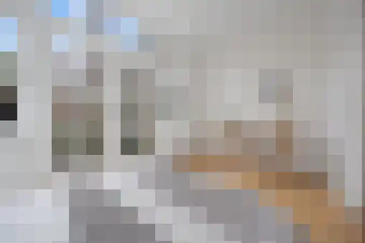 Hertogstraat 23 Eindhoven thumbnail 16