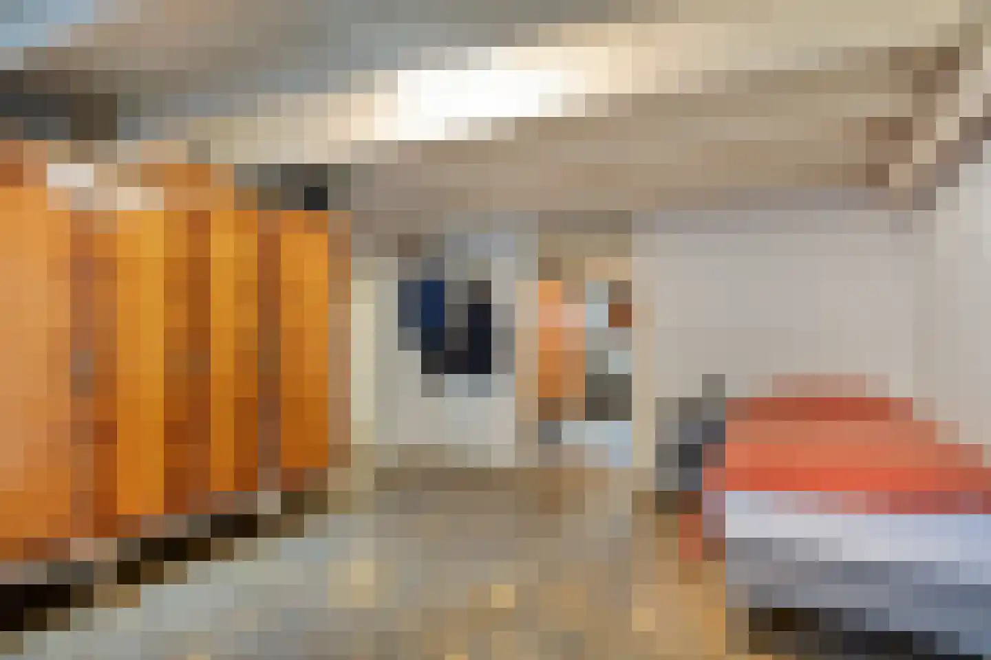 Hertogstraat 28 Arnhem thumbnail 10