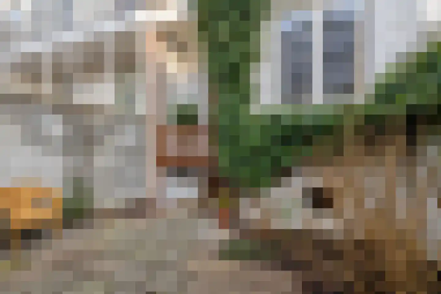 Hertogstraat 28 Arnhem thumbnail 24