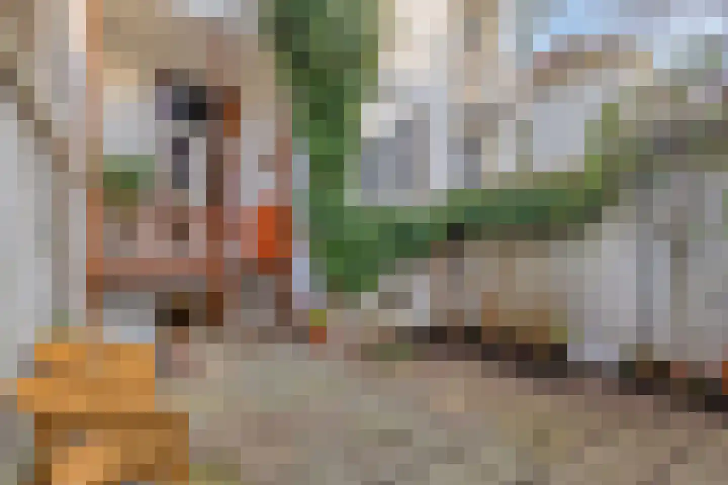 Hertogstraat 28 Arnhem thumbnail 4