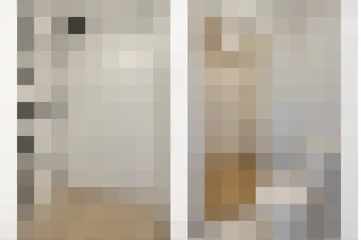 Hertogstraat 28 Nijmegen thumbnail 17