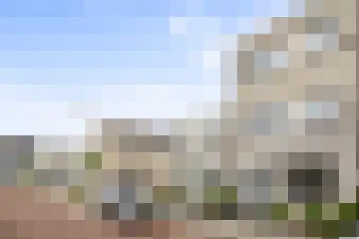 Hertogstraat 3 Alphen aan den Rijn thumbnail 8
