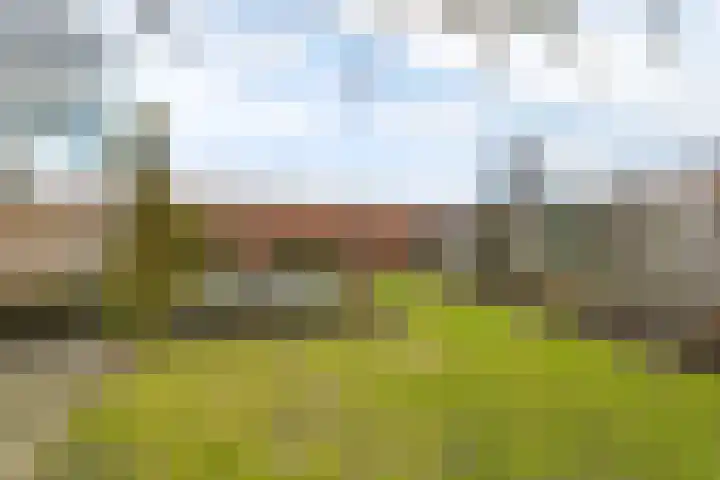 Hertogstraat 3 Zundert thumbnail 31