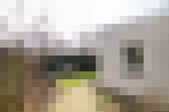 Hertogstraat 32 Alphen aan den Rijn thumbnail 31