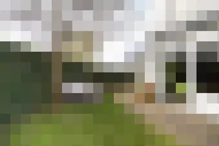 Hertogstraat 32 Alphen aan den Rijn thumbnail 32