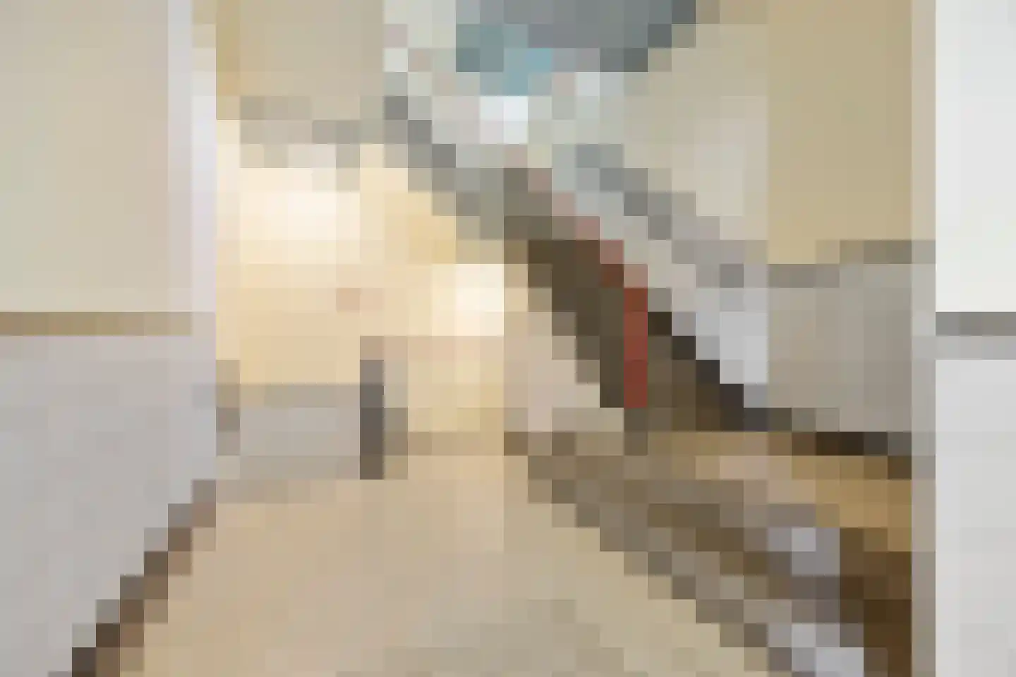 Hertogstraat 32 Nijmegen thumbnail 24