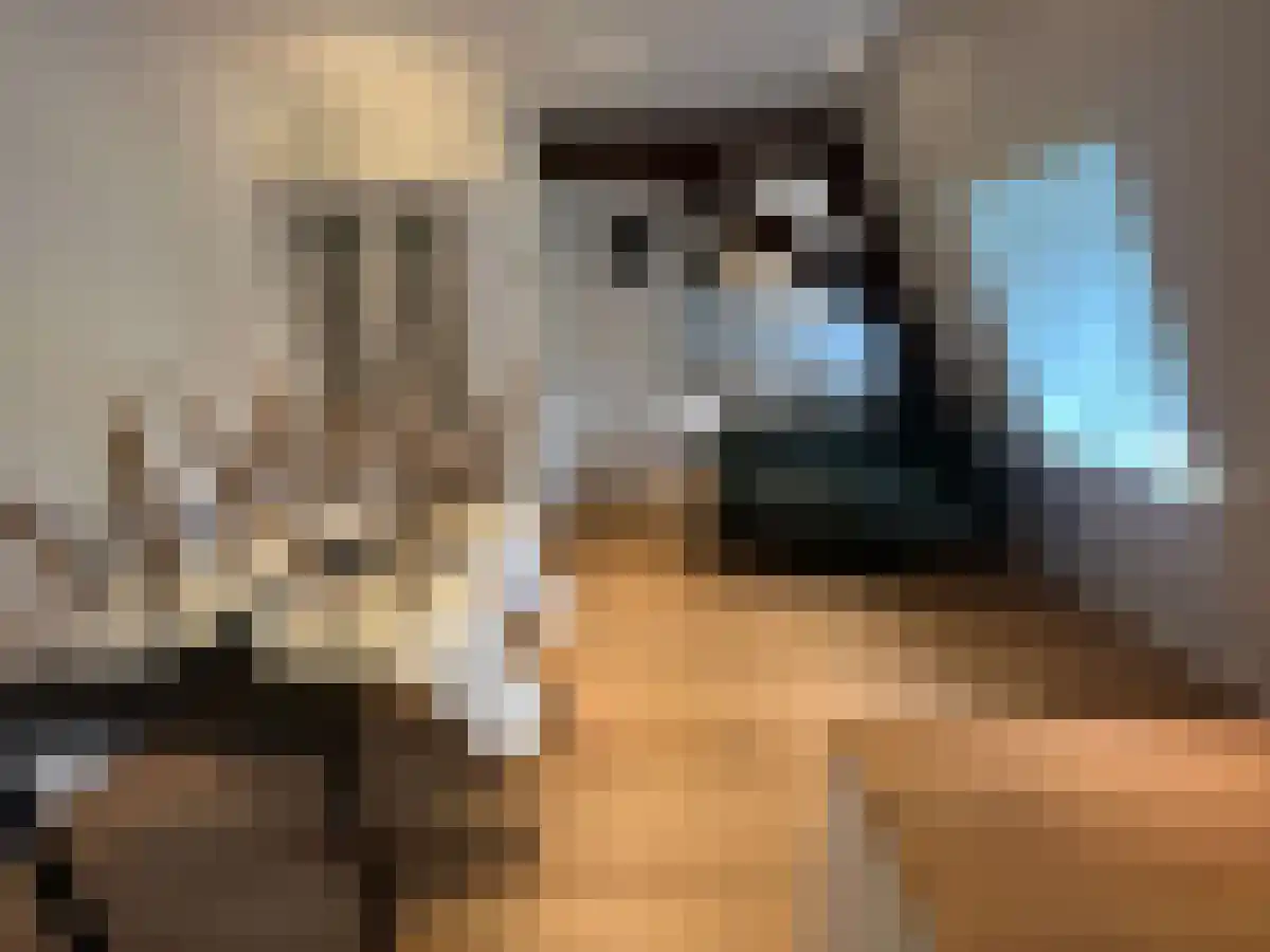 Hertogstraat 4 Eindhoven thumbnail 4