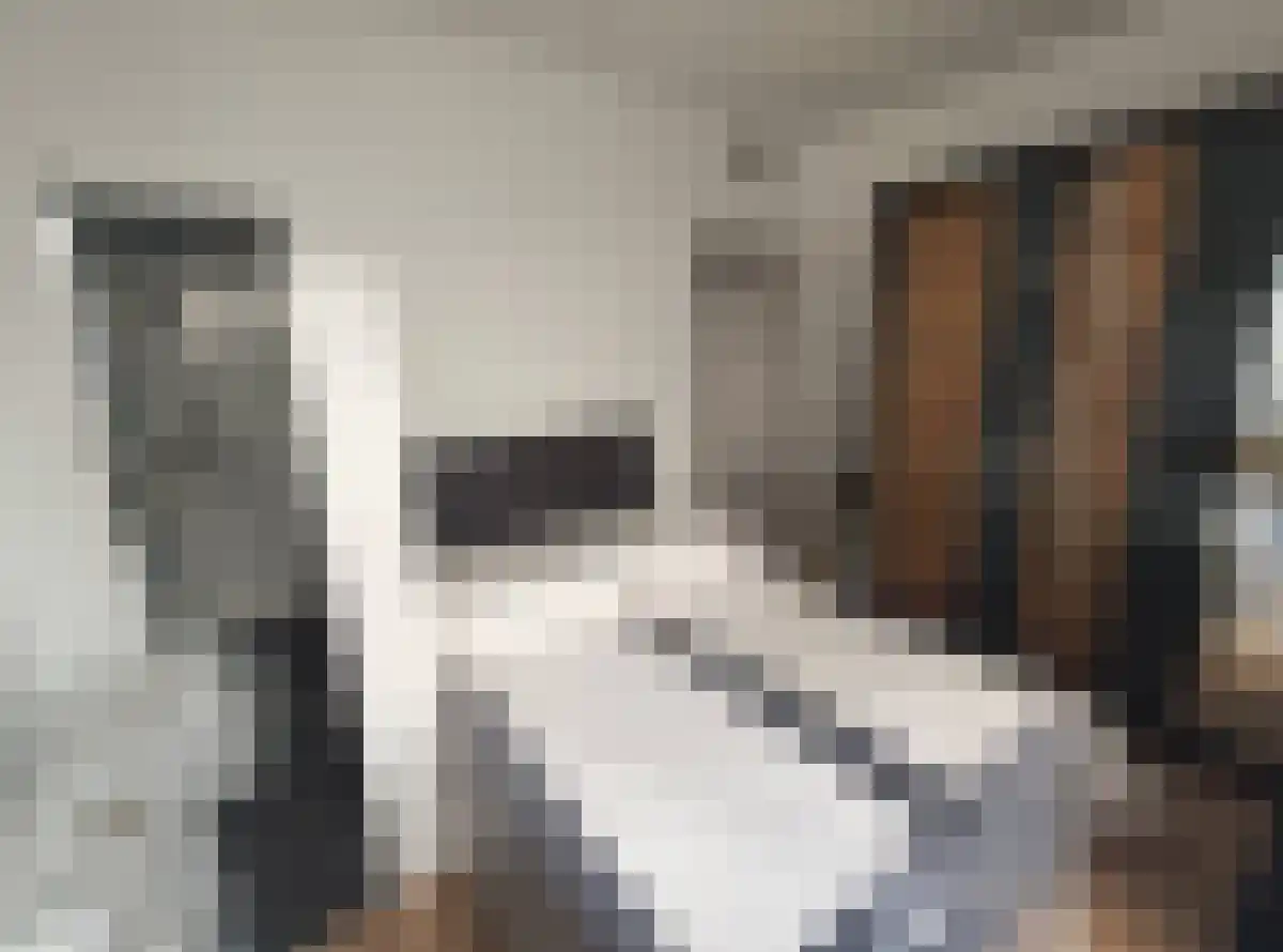 Hertogstraat 4 Eindhoven thumbnail 5