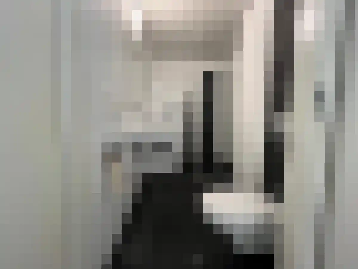 Hertogstraat 47 Eindhoven thumbnail 4