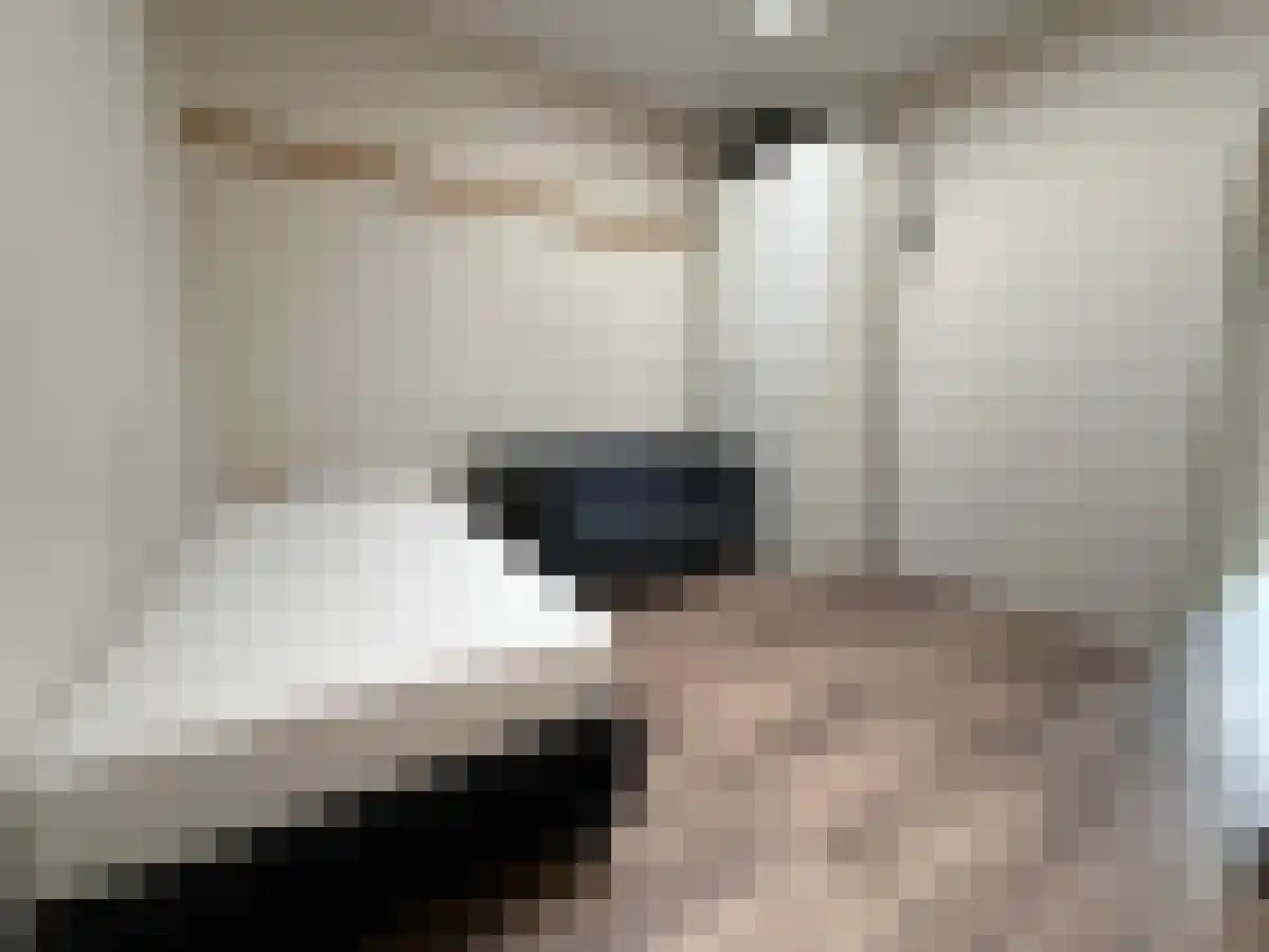 Hertogstraat 47 Eindhoven thumbnail 6