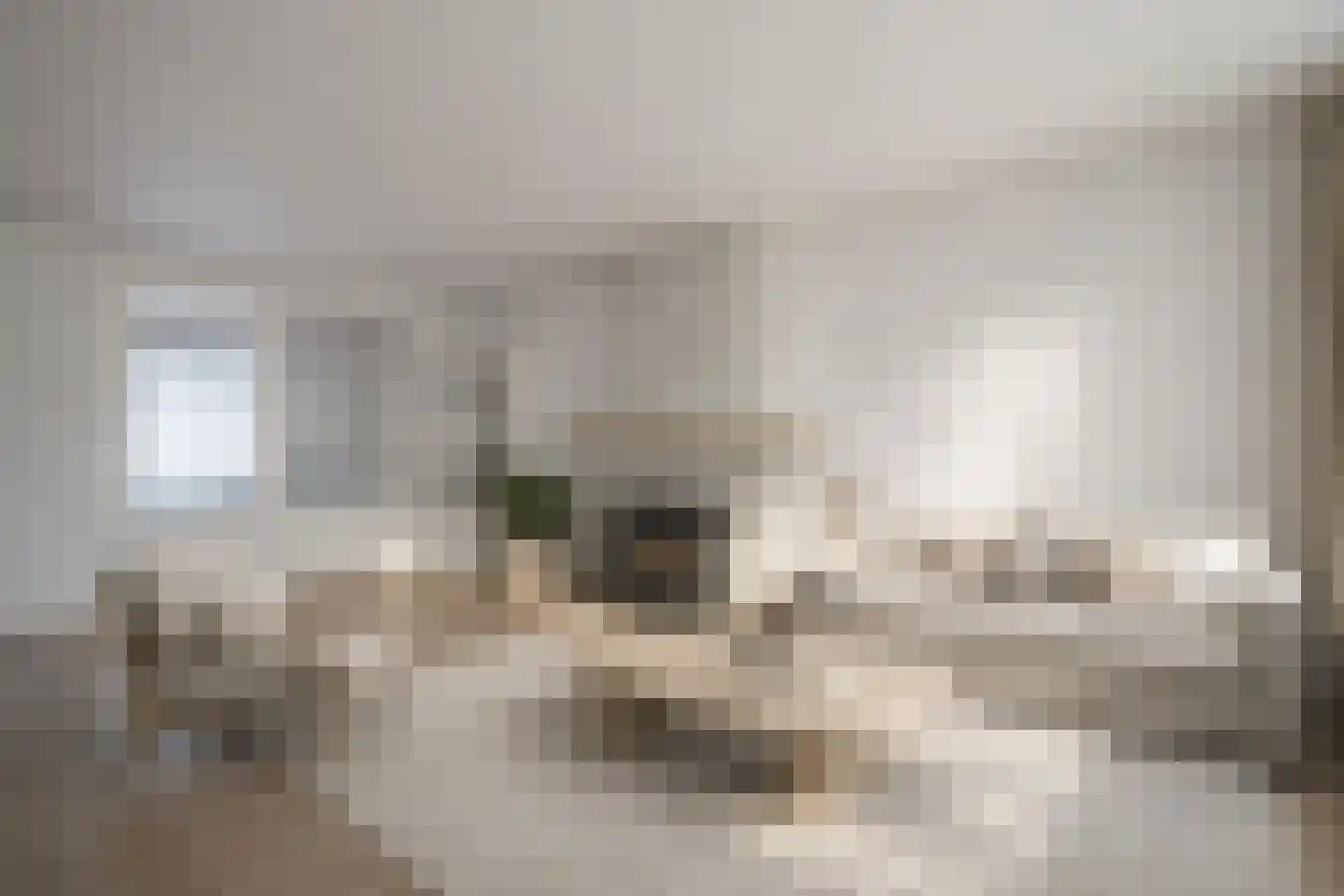 Hertogstraat 49 Zundert thumbnail 12