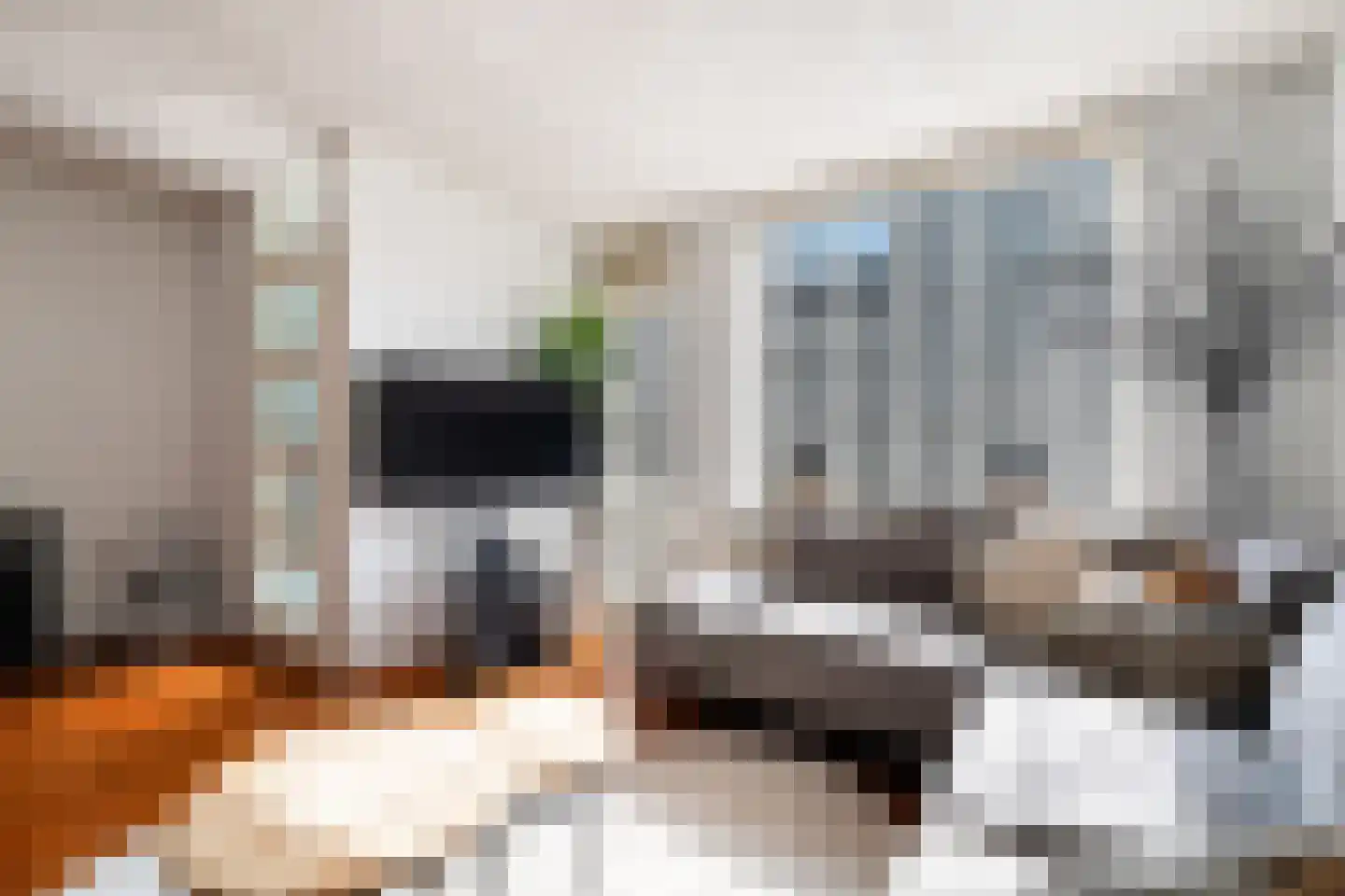 Hertogstraat 5 Alphen aan den Rijn thumbnail 14