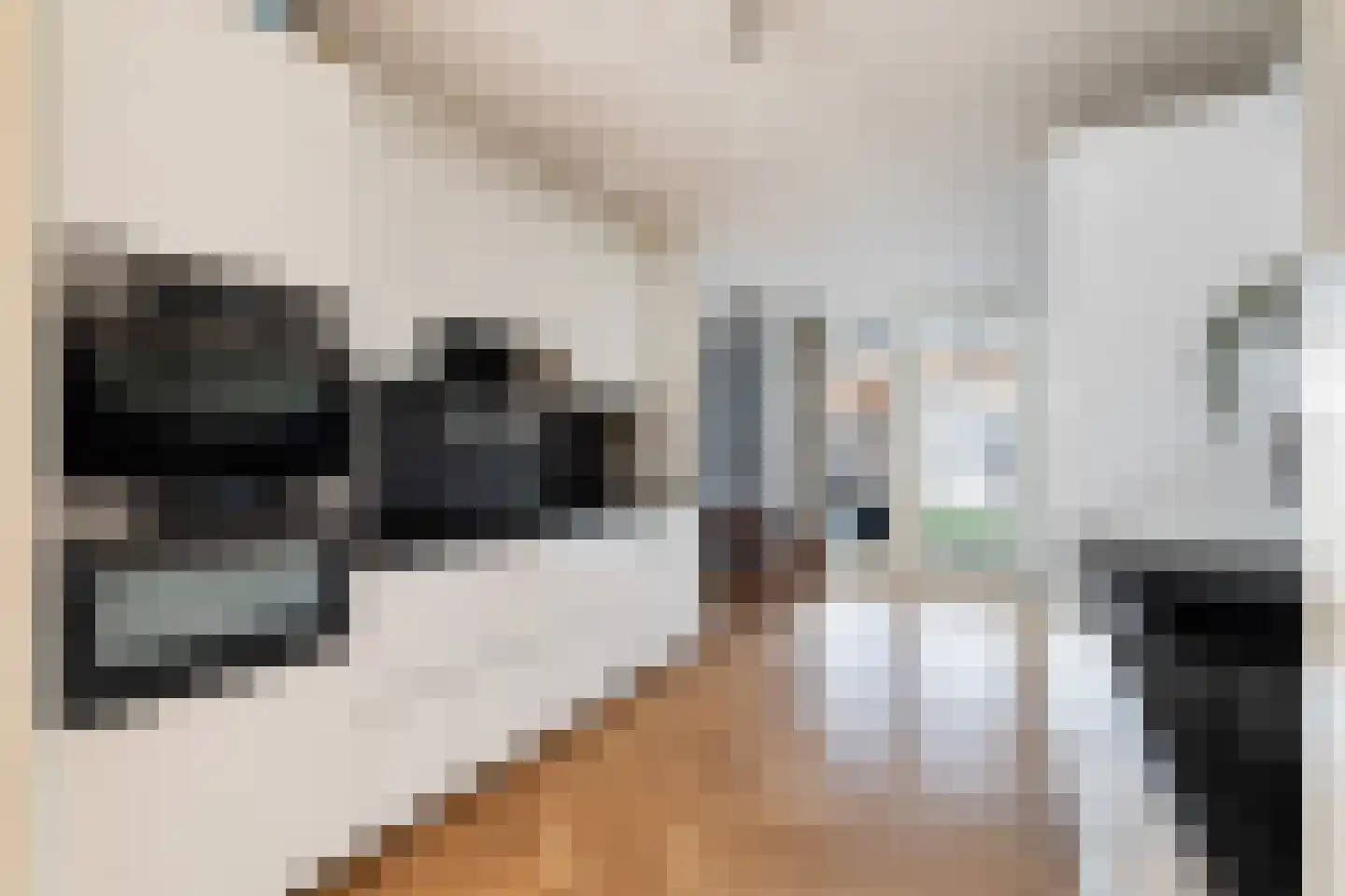 Hertogstraat 5 Alphen aan den Rijn thumbnail 21