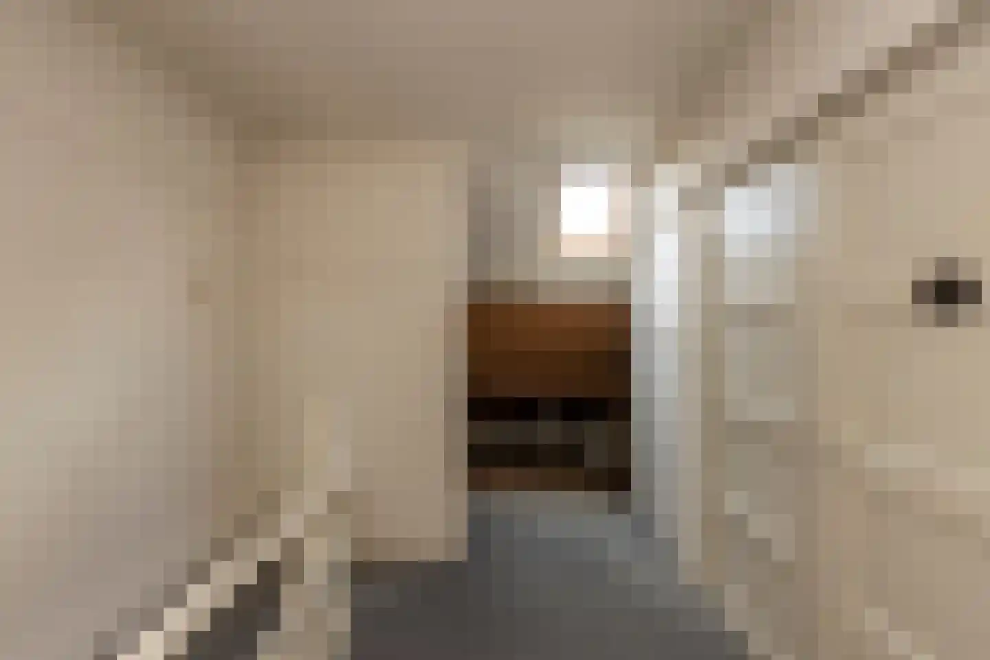 Hertogstraat 5 Tilburg thumbnail 23