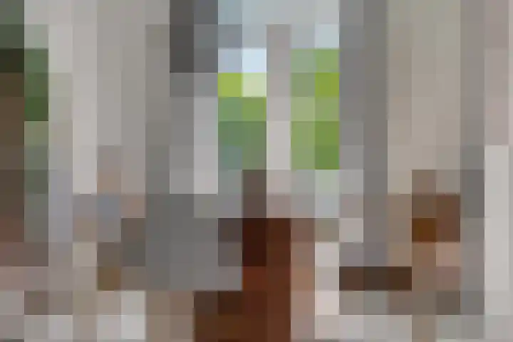 Hertogstraat 5 Velp thumbnail 16