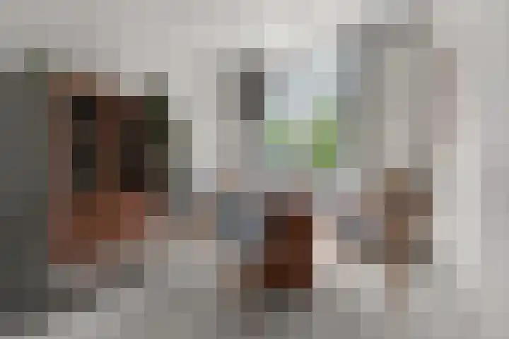 Hertogstraat 5 Velp thumbnail 18